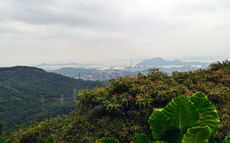 激揚青春、奮勇攀登登山活動